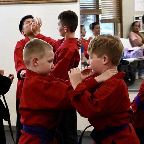 self-defense